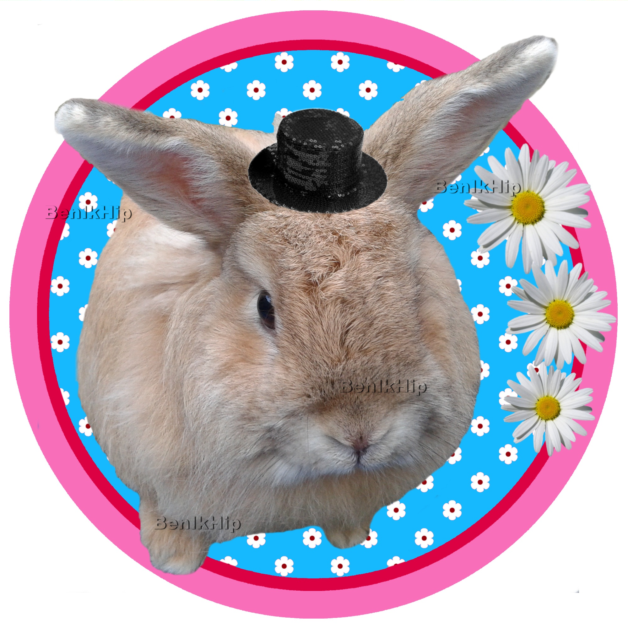 Strijkapplicatie konijn met hoedje